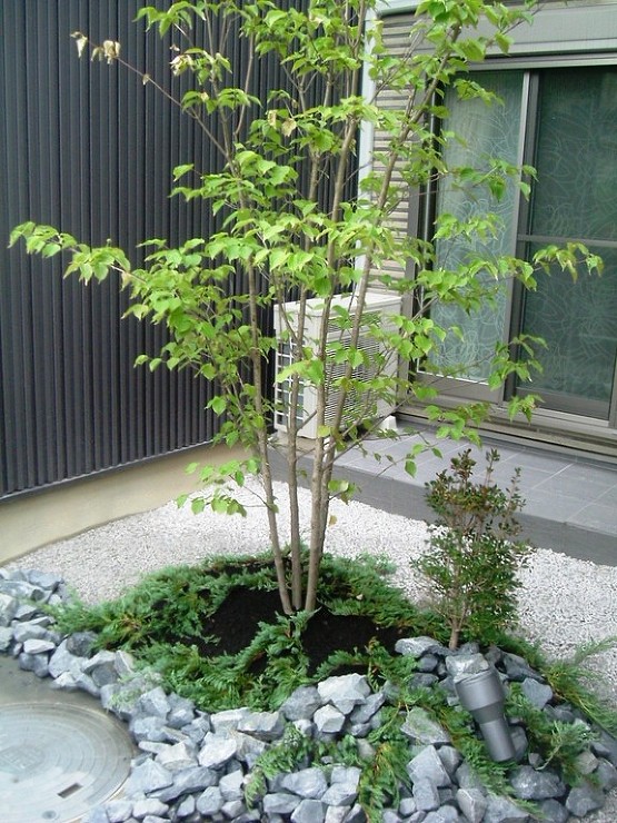 施工実績 - 青山造園　ホームページ