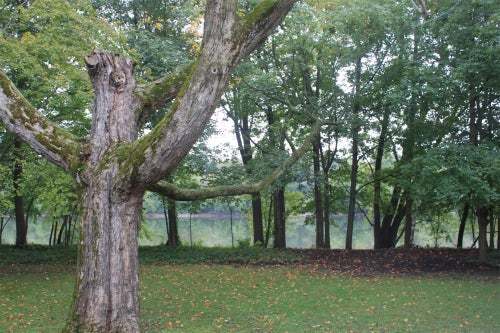 『世界美術館』?世界は美しいもので溢れている?