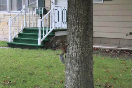 『世界美術館』?世界は美しいもので溢れている?