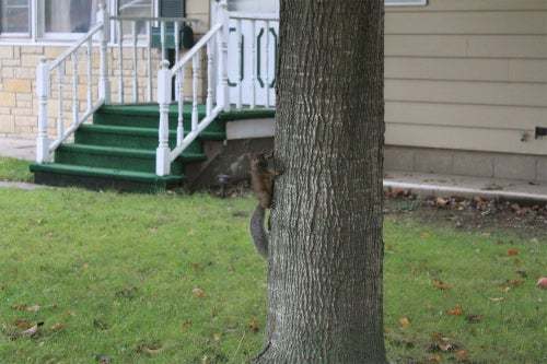 『世界美術館』?世界は美しいもので溢れている?