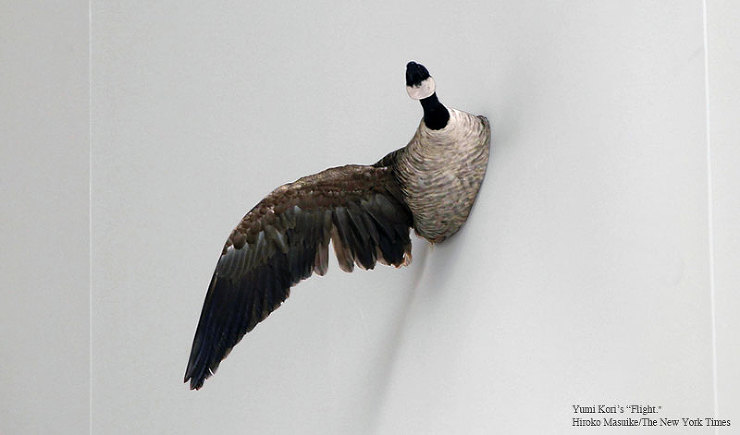 If Seeing Is Believi...