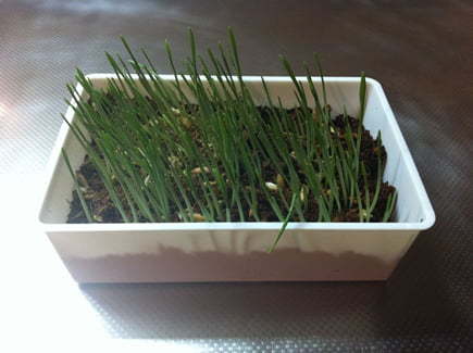 works アーカイブ - 5ページ目 ...