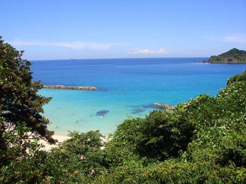 works アーカイブ - 8ページ目 ...