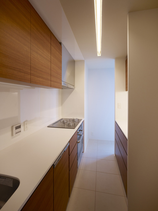 ZYX House - naf arch...