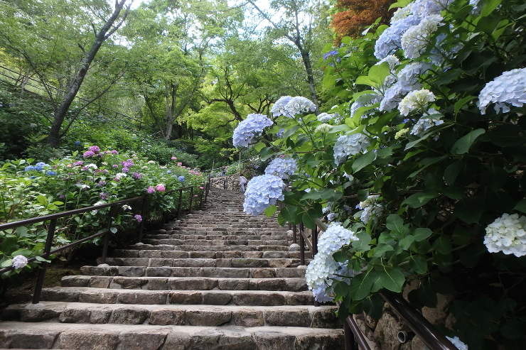 038葛城山麓の家｜１つ屋根の下の２世帯...