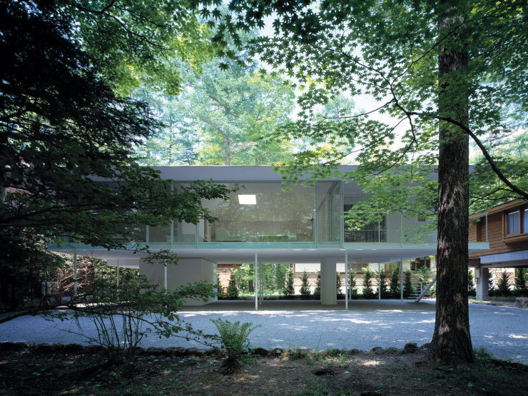Forest / Floor