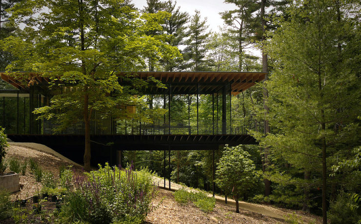 Glass / Wood house