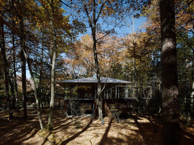 Extend to forest | �Daici Ano