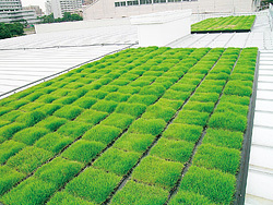 マジカルグリーン屋根緑化システム