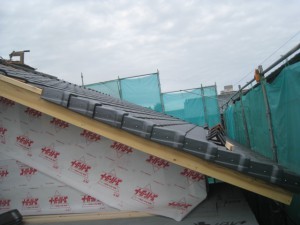 IMG_0074