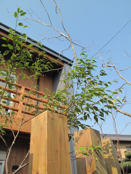 dfe103c967ec2cfad18bc21a867875e82