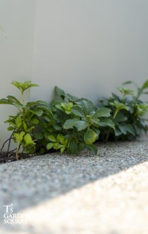 21fc033623f3cf4d8d6ca1923606b3f0