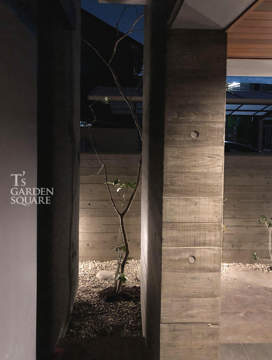 ライトアップ　植木