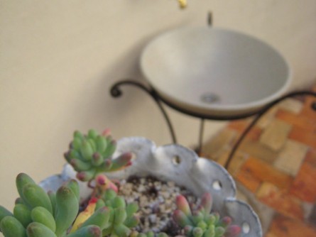 63cfce0e6bffee9872a2fd62ff6d1dc5