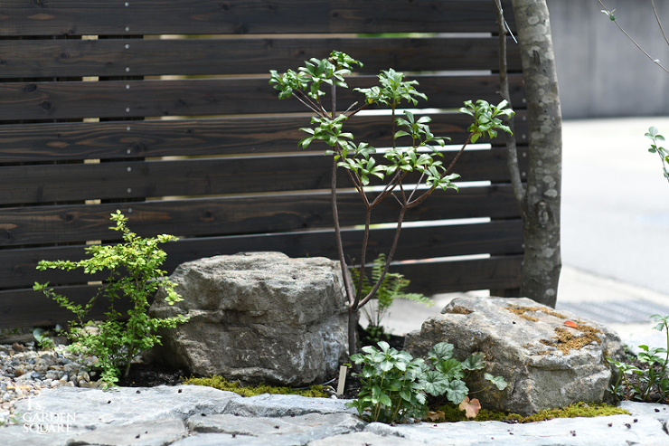 ジューンベリー足元