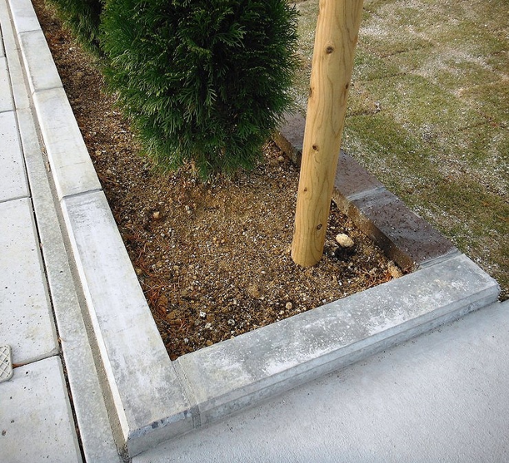 郡山市　新築外構庭まわり　植栽　コニファー