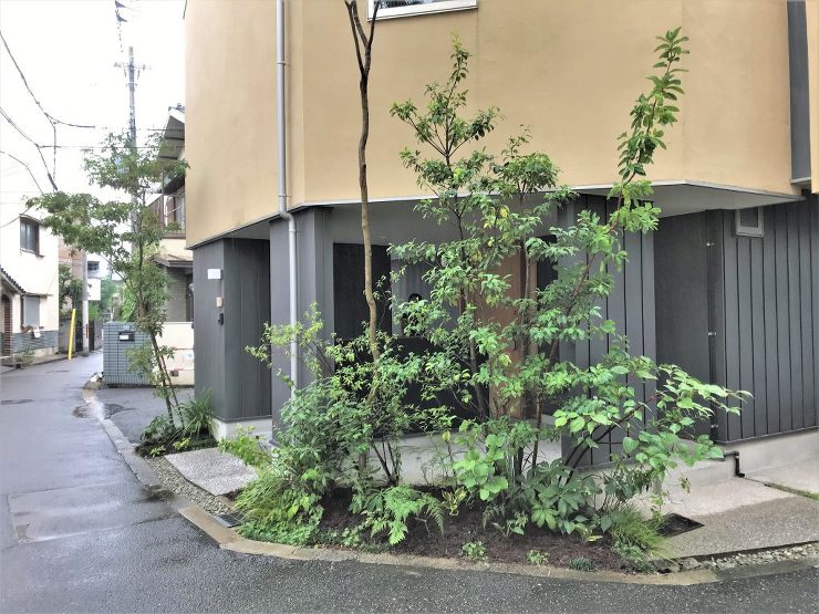 大阪市H邸 北摂 庭づくり 雑木と野草｜...