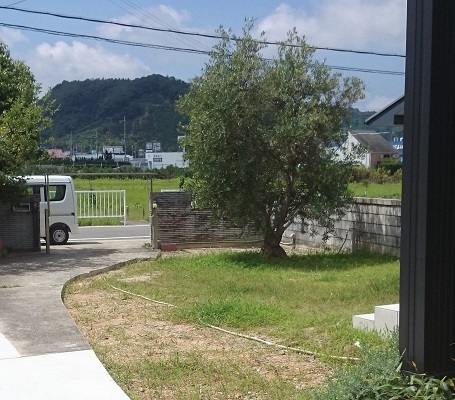 有田郡K邸 北摂 庭づくり 雑木と野草｜...