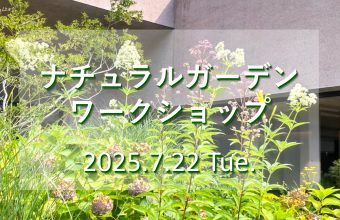 7月22日にワークショップを開催します！