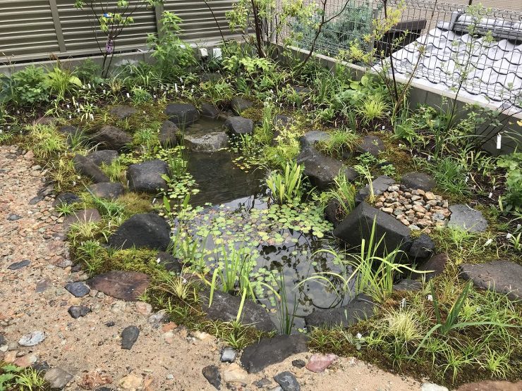 宝塚市M邸 北摂 庭づくり 雑木と野草｜...