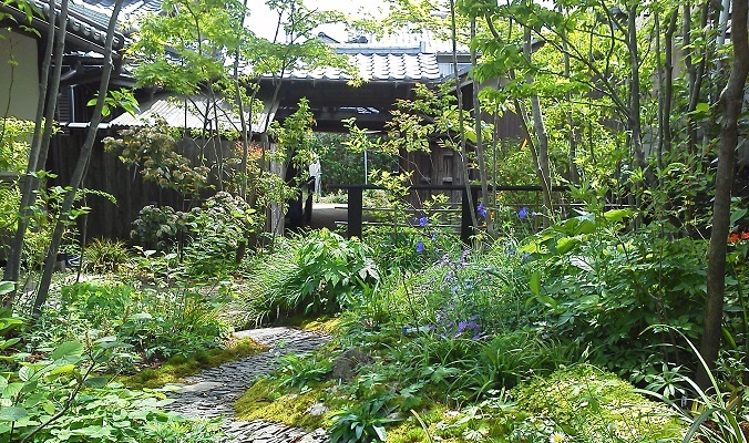 八幡市K邸 北摂 庭づくり 雑木と野草｜...