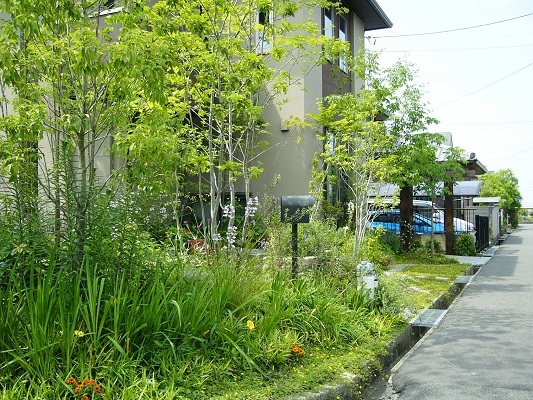 京田辺市T邸 北摂 庭づくり 雑木と野草...