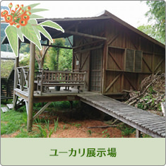 ユーカリ展示場