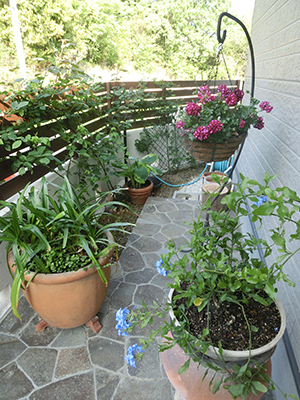 徳島・エクステリア/外構/庭/ガーデン/...