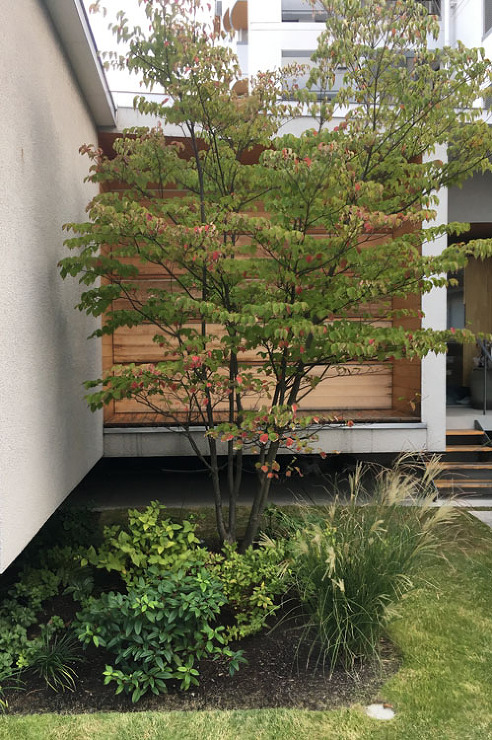 JUN TAMURA architect...