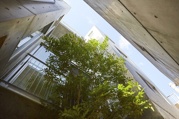 House SC for a famil...