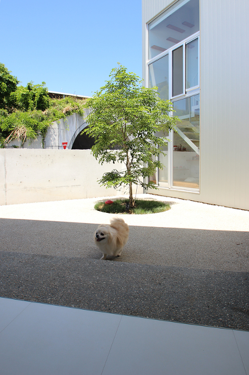 注文住宅