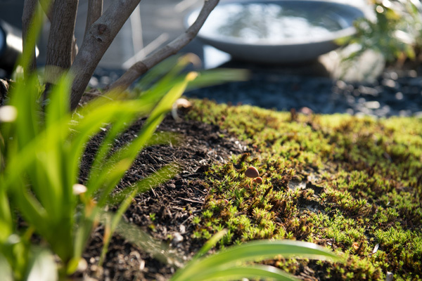 YY_WORKS Works 大きな庇の...