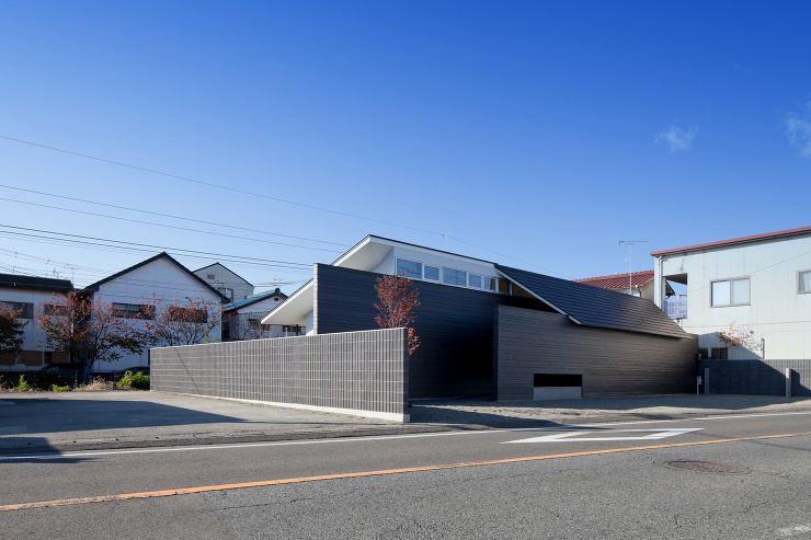 Wall House