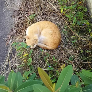 News | アトリエFUDO 一級建築...