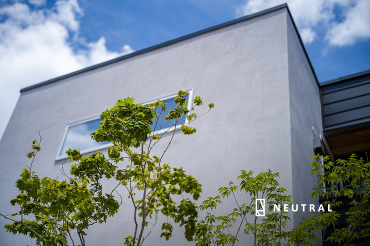 白い塗り壁を彩る植栽。樹形を強調すべく、現場で剪定してから植えています。