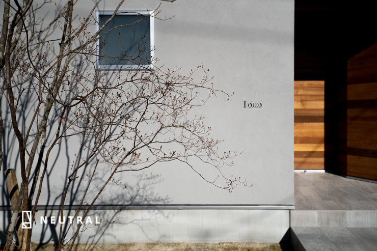 繊細な葉と枝ぶりが魅力の雑木。そのシルエットだけでおしゃれな家という事が伝わるような存在。