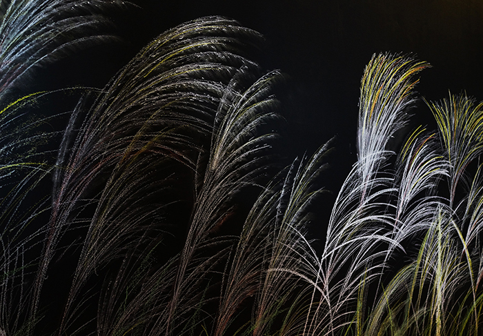 広島大学 スマート町屋プロジェクト2期工事