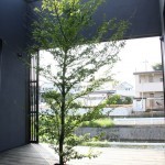 中庭の家 | adt // 長谷川拓也建...