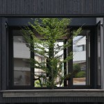 中庭の家 | adt // 長谷川拓也建...