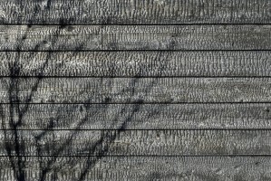 Yakisugi House | adt...