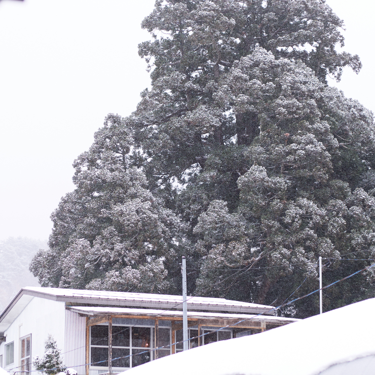 杉の下意匠室 | 井上貴詞建築設計事務所