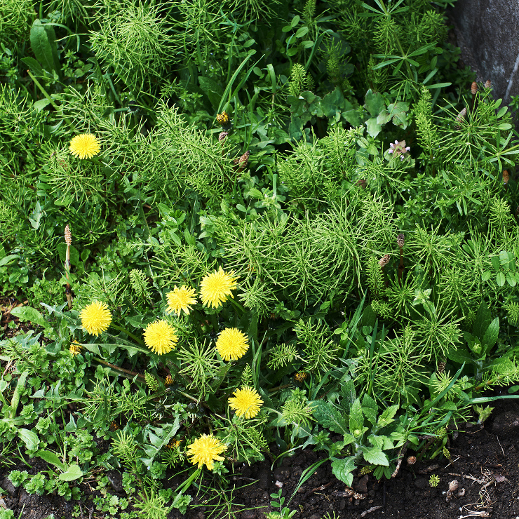 北のちいさないえ | 井上貴詞建築設計事...