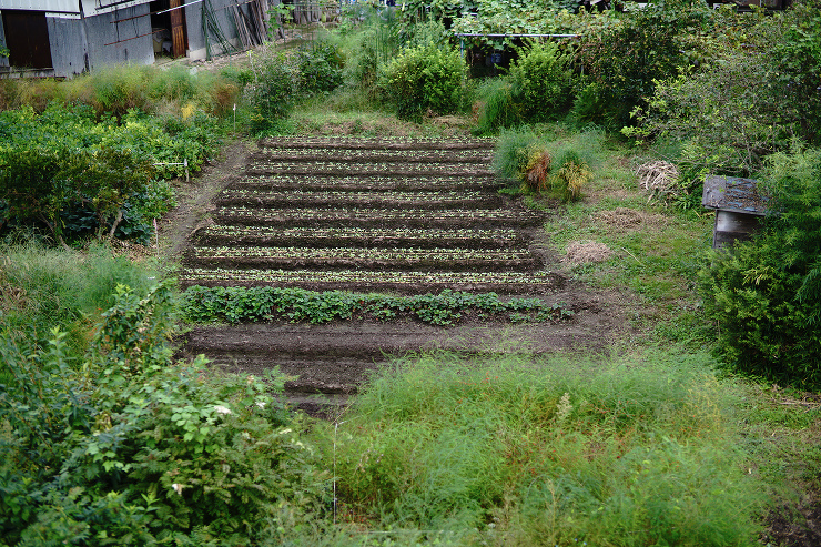カンノウェルディング | 井上貴詞建築設...