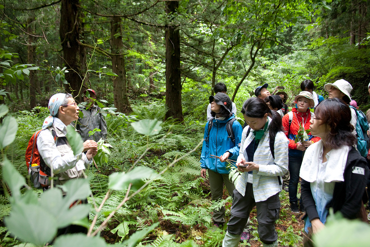 YAMAMORI PROJECT | 井...