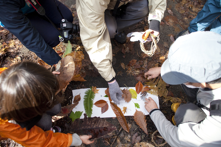 YAMAMORI PROJECT | 井...