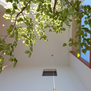 Uti庭の家 | TEKTON｜テクトン...