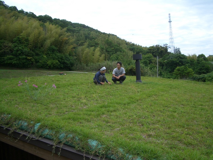 洲本草屋根の家 | 虎設計工房一級建築士...