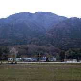 MS工場