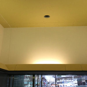 新X-J Arrow9.5(12.5)不...