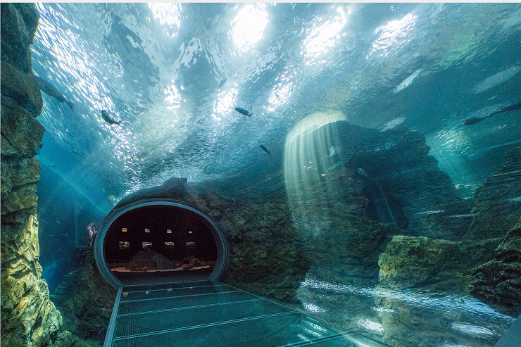 上越市立水族博物館　うみがたり | PR...